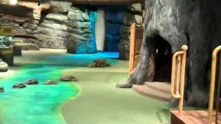 Fernbank Museum NatureQuest Preview
