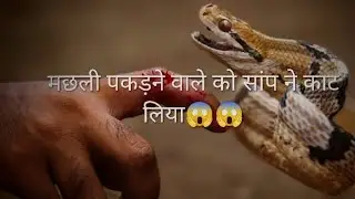 Snake Bite 😱 )guddu Ko Sap Ne Kata ? 😢 - #kajalvlog  @KajalVlogs-h7c 