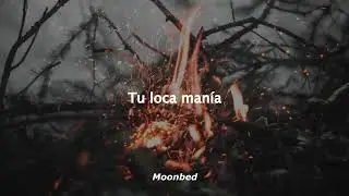 Ricky Martin - Fuego de noche, nieve de dia (Letra)