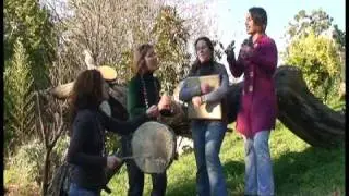 FALTRIQUEIRA PALMIRA