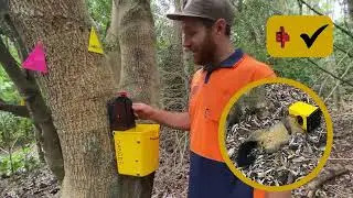 Flipping Timmy maintenance