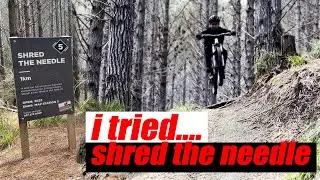 Trying Shred the Needle at Woodhill Mountain Bike Park
