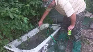 Третья подкормка.