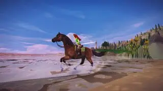 Ich schaue mir SSO life hacks an! 🐎