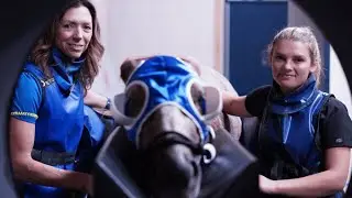 Inside Pioneer Equine Hospital: How Standing CT Is Transforming Equine Diagnostics