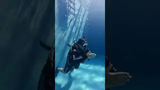 Confined Water Divemaster Training | Where Pros Are Made 🌊🤿 #shorts #padi #scubalife