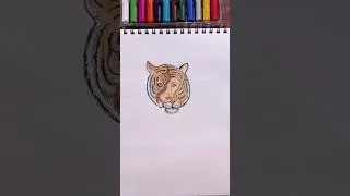 Tiger face Girl Drawing @sreebaviart #tiger #girl #drawing #shorts