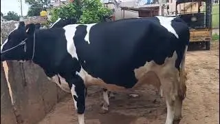 ಹೊಸ ಲಾಟ್ ಬಂದಿದೆ call madi  82178 75051