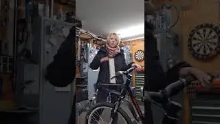 Zugvorrichtung und Zugleine am Hadhi-dog-Scooter