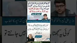 Ali Ameen gandda Pur bilkul form ma / #imrankhan / #pti / #shorts