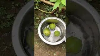 Best drink ever!!🥰#shortvideo #drink #super #recipe #lemonjuice