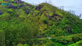 Pothamedu View Point and Hill Station