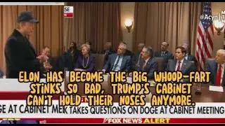 Why are Trumps cabinet members and Republican folks in Congress suddenly hates DOGE and Elon Musk