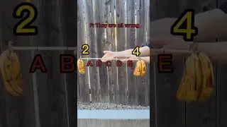 Bananas on a Stick Brainteaser. Did you get it correct? #science #brilliant #ad