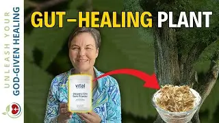 Seven Health Benefits of Slippery Elm