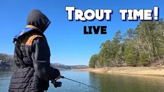TROUT Fishing at Lake Blue Ridge live! #outdoors #fish #fishing