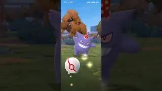 Back 2 back party hat gengar raids 