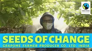 Grapome - Seeds of Change - Fairtrade International NAPP