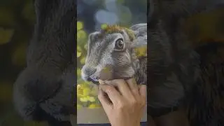 Hare in Soft Pastel