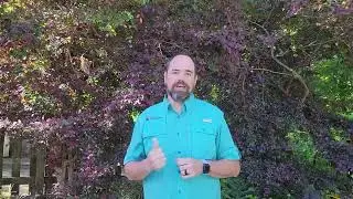 Heat Stress - Prevent Heat Illness - Matt Edmonds