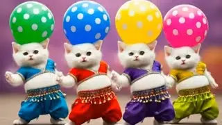 Cute baby dance video|Dudi Dudi Dam Dam Dance |Funny Kids Videos | Kids Rhymes #dudidudi