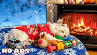 12 часов музыки для собак: успокоение тревожных собак 🐶 Снятие стресса дома 🎵 Без рекламы