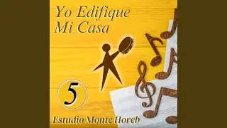Escalando Peldaños
