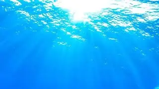 A Cover of American Wedding by Frank Ocean