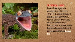 REFERAT 