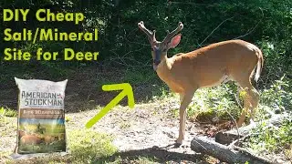 DIY Cheap and Easy Salt/Mineral Lick for Deer