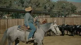 Team Sorting & Penning Hemet Ca 10,000 added Prize money   March 25th & 26th 2023  A JR Productions.