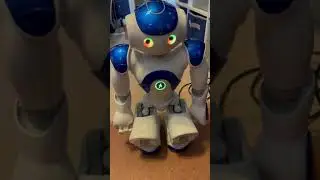 NAO ROBOT V5 start up