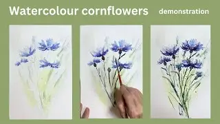 Watercolour cornflowers : painting demonstration