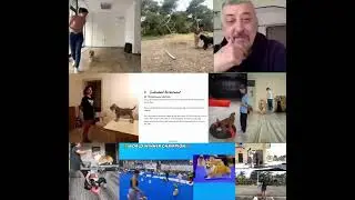 Dog Show Handling - online trainings with Antoan J. Hlebarov