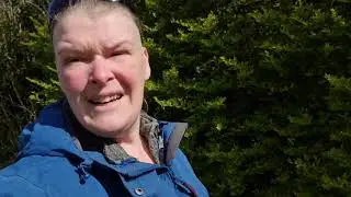 voedselbank en caviakooi verschonen  #936