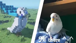 Birb built a birb ^-^