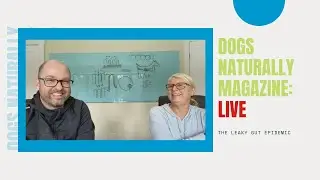 Leaky Gut In Dogs ... A Growing Epidemic