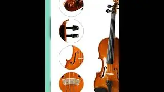 Kadence, Vivaldi 4/4 Violin With Bow, Rosin, Hard Case (Brown Glossy V001C)