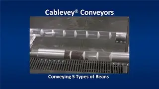5 Different Beans Conveyed by Cablevey Conveyors