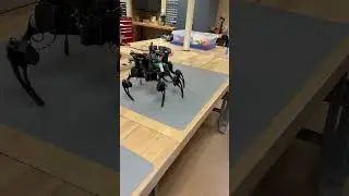 Six Legged Spider Bot | Walking Robot | Mechanical Engineering Project