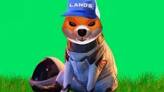 Why Shiba Inu Created Virtual Real Estate