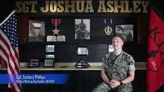The Life of a Marine Working Dog Handler