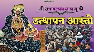 श्री राधावल्लभ लाल जू की उत्थापन आरती // Utthapan Aarti // Shri Ji Ashtayam Seva Mahotsav, Jaipur 