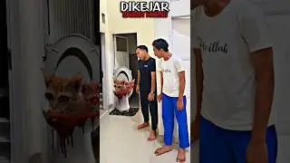 Apa❗Dikejar Skibidi Kucing❗Begini Cara Buatnya❗