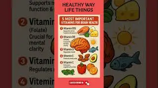 IMPORTANT VITAMIN FOR BRAIN MEMORY HEALTH #healthywaylifethings #activelifestyle #superfoods #heal