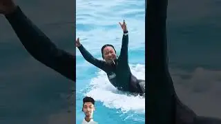 Jessica dolphin 🐬 #jassica #dolphin #video #viral #shorts #story