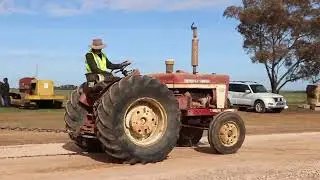 International 564 1969 driven by David Mildren from Mundoora, Mundoora Vintage Tractor Pull