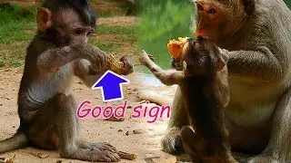 Big surprise see adorable Lola start using her broken hand every day | Lola's hand much improve