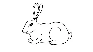 How to Draw Rabbit Step by Step Very Easy | ColourCups TV ☆