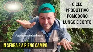 Ciclo Produttivo Pomodoro Corto e Lungo